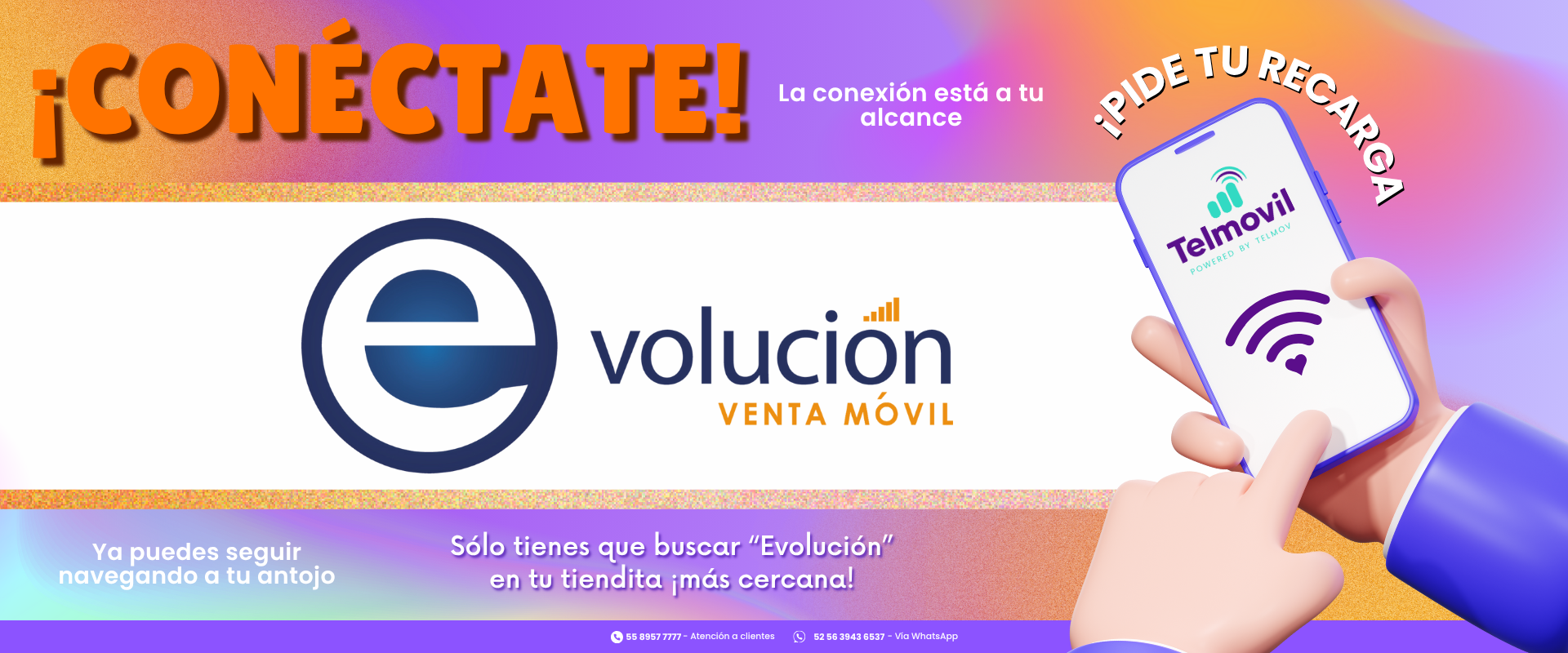 EVOLUCION